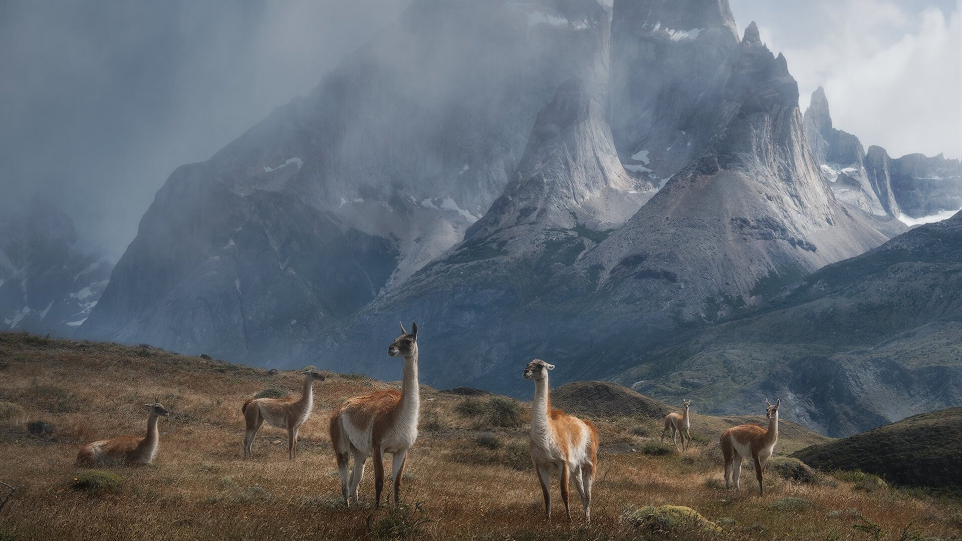 美利坚的绿茵失守，当皇家社会带走美国，梅西戴上关键先生王冠