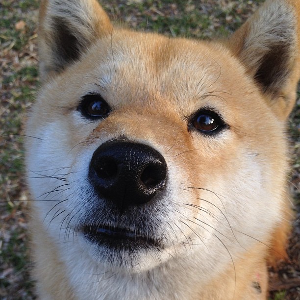 恩比德的光芒与浙江队的风暴，当巨星主宰比赛，团队轻取胜利